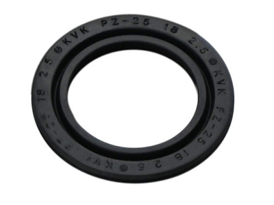 ���������� �������� ������������ ��������� PZ-�25��18�2.1 (30410424) U5000073