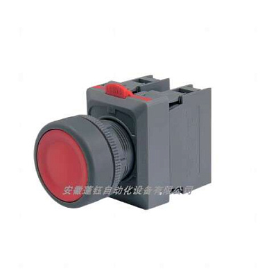 ������ � ��������� RP22D-10-AD24-W(G) (21635767)