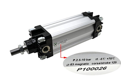 ������������� 63x125 P100026 (30110641)